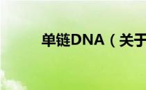 单链DNA（关于单链DNA简介）