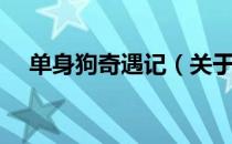 单身狗奇遇记（关于单身狗奇遇记简介）
