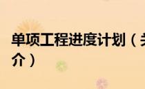 单项工程进度计划（关于单项工程进度计划简介）