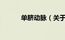单脐动脉（关于单脐动脉简介）
