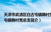 天津市武清区白古屯镇韩村党总支（关于天津市武清区白古屯镇韩村党总支简介）