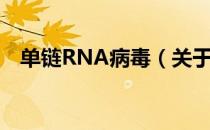 单链RNA病毒（关于单链RNA病毒简介）