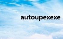 autoupexexe（autoup exe）