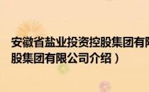 安徽省盐业投资控股集团有限公司（关于安徽省盐业投资控股集团有限公司介绍）