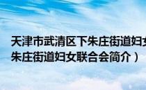 天津市武清区下朱庄街道妇女联合会（关于天津市武清区下朱庄街道妇女联合会简介）