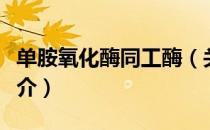 单胺氧化酶同工酶（关于单胺氧化酶同工酶简介）