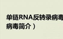 单链RNA反转录病毒（关于单链RNA反转录病毒简介）