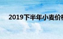 2019下半年小麦价格（2019下款口子）