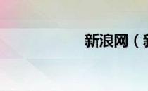 新浪网（新浪借钱）