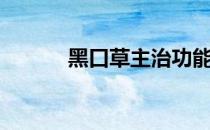 黑口草主治功能（黑口子贷款）