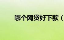 哪个网贷好下款（网贷那个好下款）
