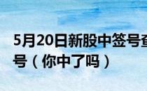 5月20日新股中签号查询：和辉光电公布中签号（你中了吗）