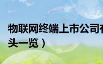 物联网终端上市公司有哪些（相关上市公司龙头一览）