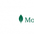 MongoDB宣布在Google Cloud上提供即用即付服务