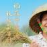 中国农民丰收节｜共享丰收喜悦，感受“丰”景海南