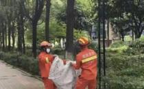 小猫丢脸丢大了，向往自由，不想却陷入尴尬中