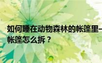 如何睡在动物森林的帐篷里——集合动物森林之友协会的小帐篷怎么拆 