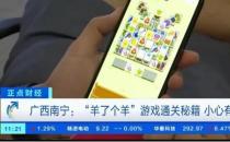 央视揭秘羊了个羊通关诈骗陷阱