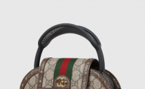 Gucci推出AirPodsMax便携包