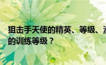 狙击手天使的精英、等级、潜力、技能、信任度有哪些推荐的训练等级 