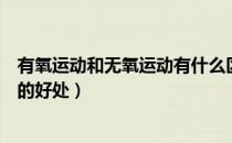 有氧运动和无氧运动有什么区别（无氧运动是什么无氧运动的好处）
