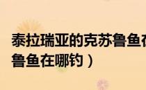 泰拉瑞亚的克苏鲁鱼在哪里钓（泰拉瑞亚克苏鲁鱼在哪钓）