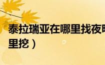 泰拉瑞亚在哪里找夜明矿（泰拉瑞亚夜明矿哪里挖）