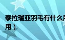 泰拉瑞亚羽毛有什么用（泰拉瑞亚羽毛有什么用）
