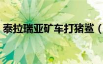 泰拉瑞亚矿车打猪鲨（泰拉瑞亚怎么下矿车）
