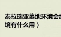 泰拉瑞亚墓地环境会给什么（泰拉瑞亚墓地环境有什么用）