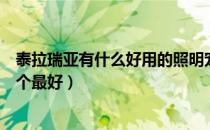 泰拉瑞亚有什么好用的照明宠物吗（泰拉瑞亚照明宠物选哪个最好）