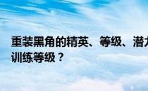 重装黑角的精英、等级、潜力、技能、信任度有哪些推荐的训练等级 