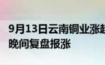 9月13日云南铜业涨超10%有色冶炼加工概念晚间复盘报涨