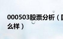 000503股票分析（国新健康000503股票怎么样）