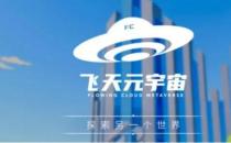 港股打新怎么选，元宇宙第一股飞天云动值得关注
