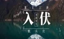 入伏后，要注意什么？