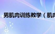 男肌肉训练教学（肌肉速成训练 男人必看）