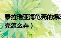 泰拉瑞亚海龟壳的爆率是多少（泰拉瑞亚海龟壳怎么弄）