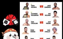 坎派大熊猫在UFC 276