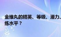 金维丸的精英、等级、潜力、技能、信任度有哪些推荐的训练水平 