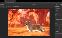 Adobe照片商店中查看照片恢复滤镜