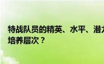 特战队员的精英、水平、潜力、技能、信任度有哪些推荐的培养层次 