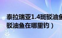 泰拉瑞亚1.4斑驳油鱼怎么获得（泰拉瑞亚斑驳油鱼在哪里钓）