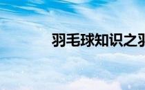 羽毛球知识之羽毛球发球规则