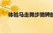 体验马走舞步驰骋的畅快便是一种享受