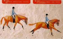 只有非常投入且勤奋的骑手才能做好这动作