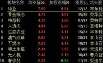 收评：创业板指涨0.32% 信创概念股掀涨停潮