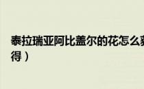 泰拉瑞亚阿比盖尔的花怎么获得（泰拉瑞亚阿比盖尔怎么获得）
