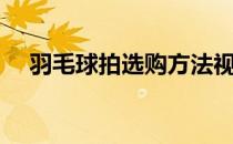 羽毛球拍选购方法视频（羽毛球拍选购）