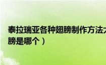 泰拉瑞亚各种翅膀制作方法大全（泰拉瑞亚最容易获得的翅膀是哪个）